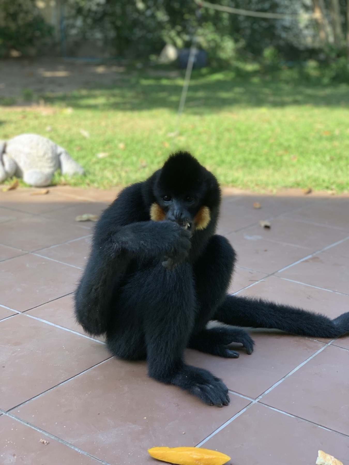 Bras tendus