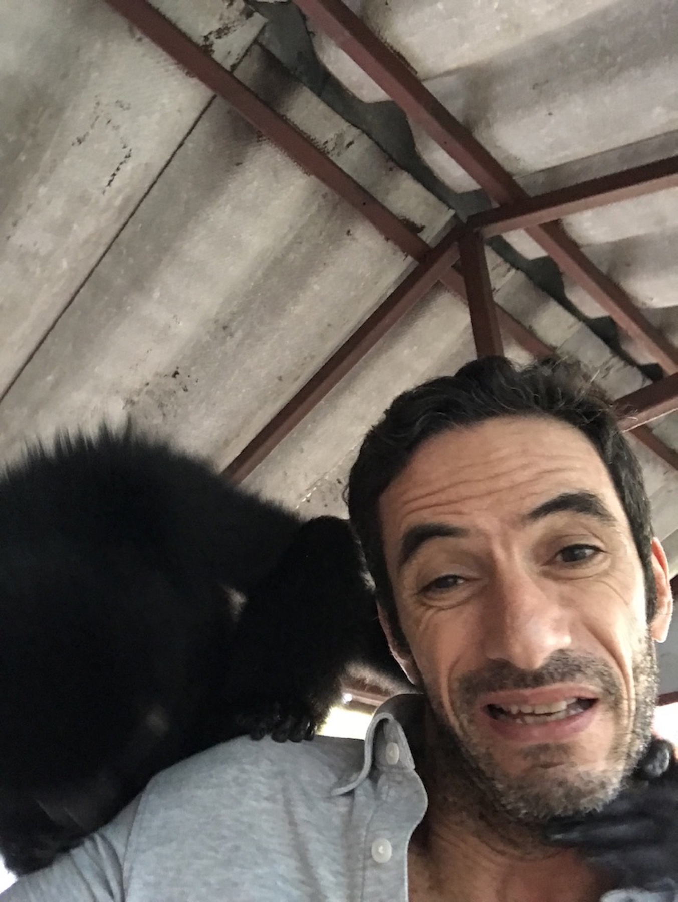 Câlin