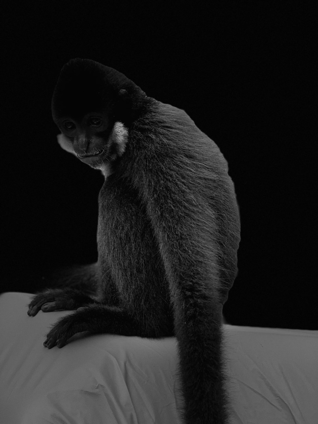 Nuit